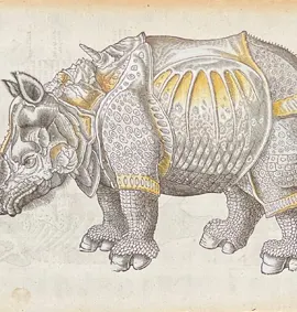 Le Rhinoceros de Dürer